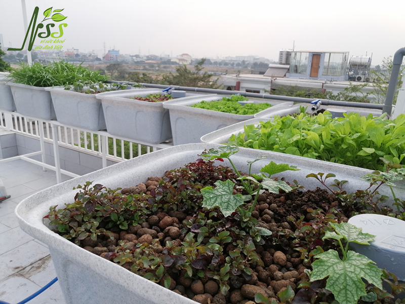 Hệ thống trồng rau nuôi cá aquaponics 8 khay