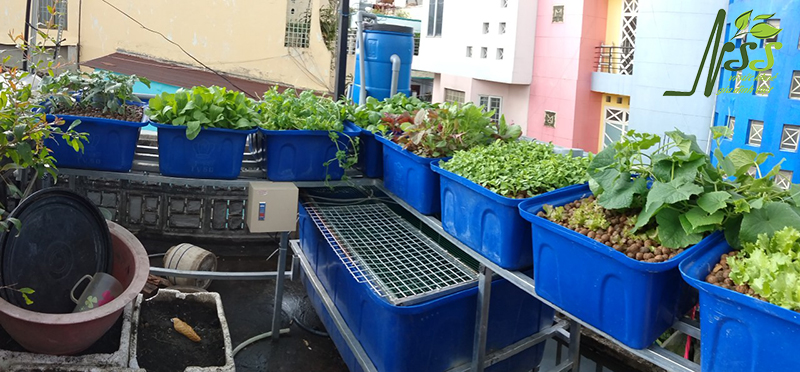 Hệ thống trồng rau nuôi cá aquaponics 8 khay