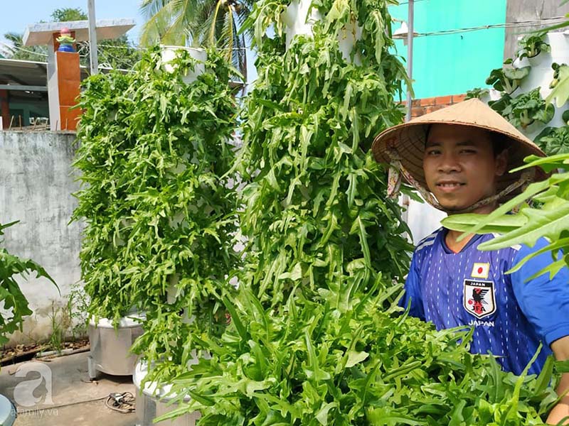 Kĩ thuật trồng rau khí canh