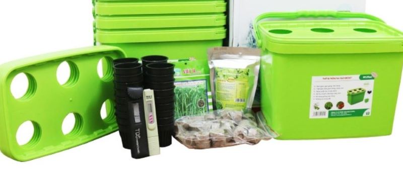 Trồng rau sạch tại nhà