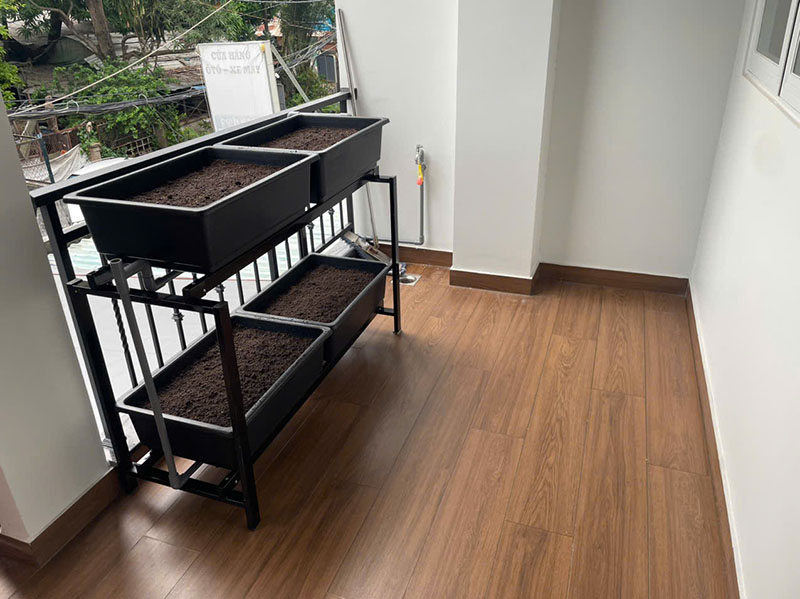 Trồng rau trên ban công