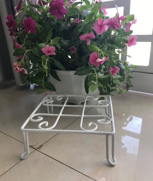 Đế lót chậu cây hoa văn