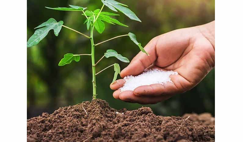 Kĩ thuật bón phân cho cây ăn trái