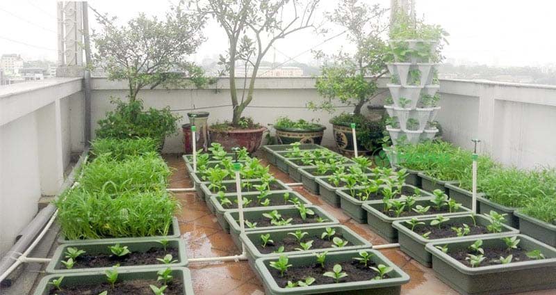 Lắp đặt hệ thống tưới cây tự động