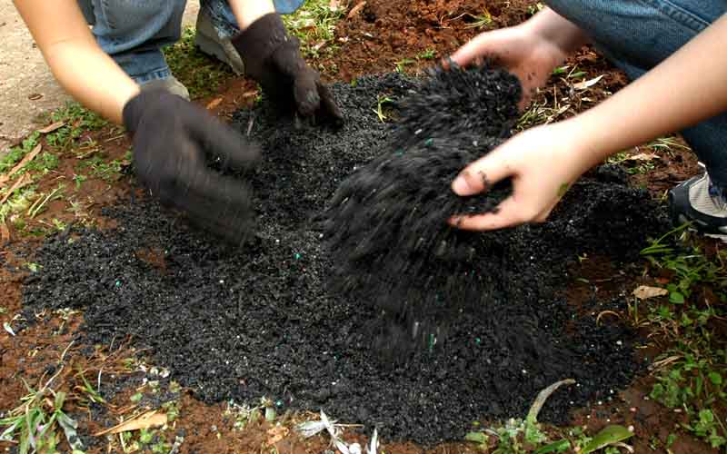 Bón phân cho cây ăn trái