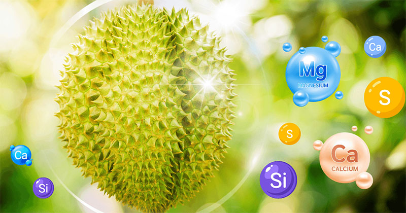 Các nguyên tố trung lượng với cây trồng