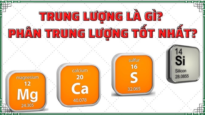 Các nguyên tố trung lượng với cây trồng
