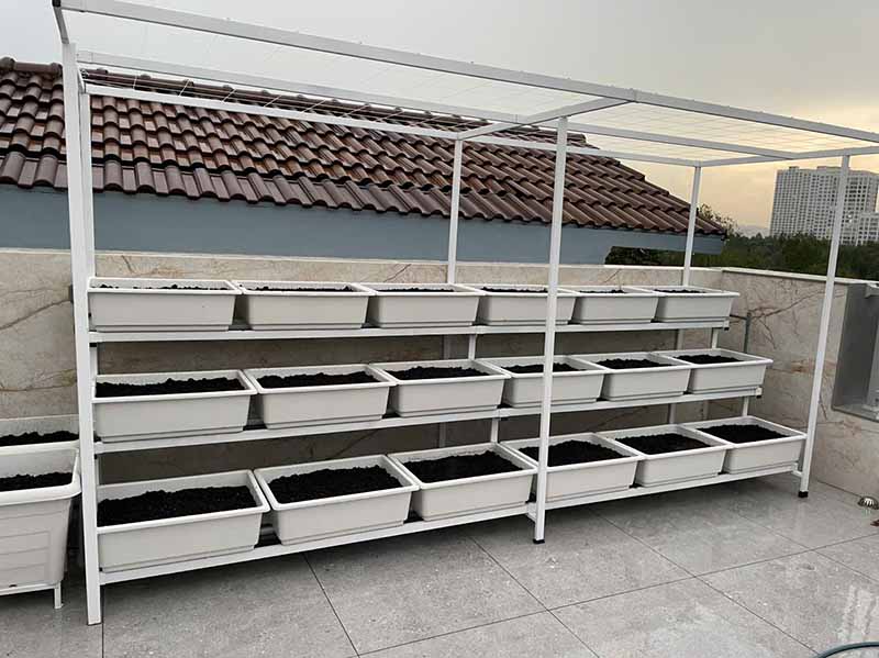 Mẹo vặt trồng rau sạch