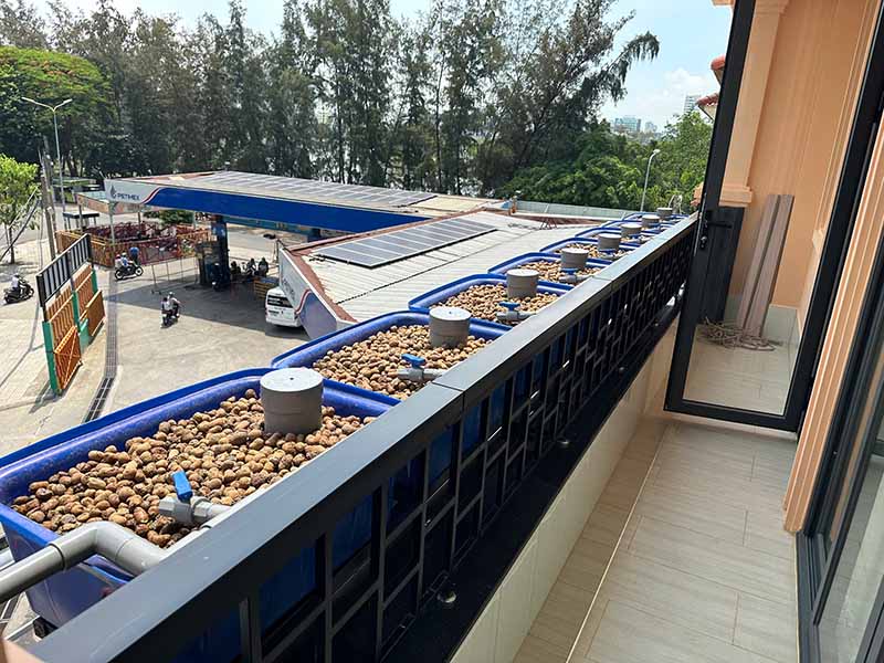 Mẹo vặt trồng rau sạch