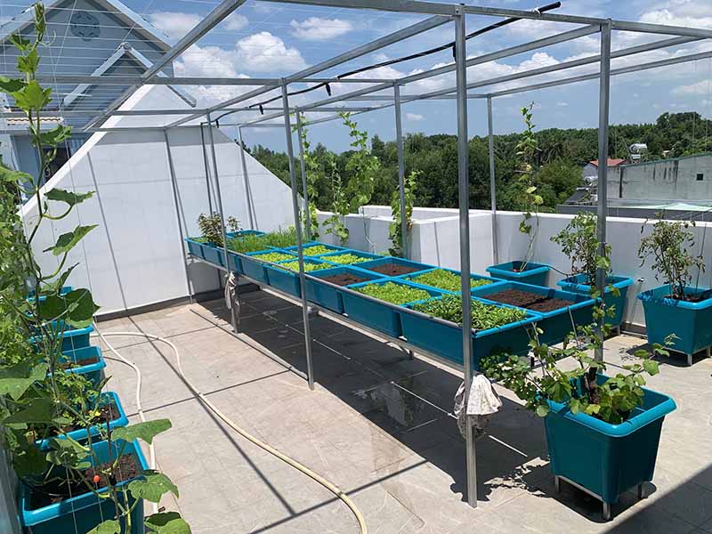 Mẹo vặt trồng rau sạch