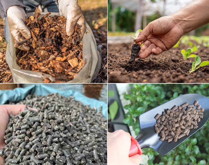 Phân bón sinh học và chế phảm vi sinh