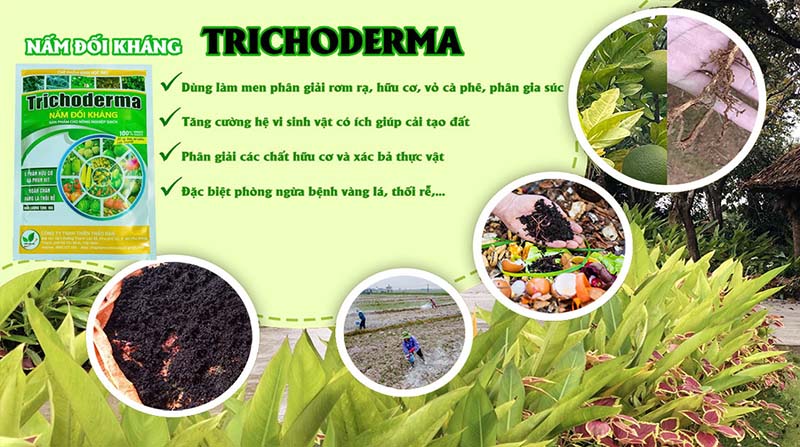 Phân bón sinh học và chế phảm vi sinh