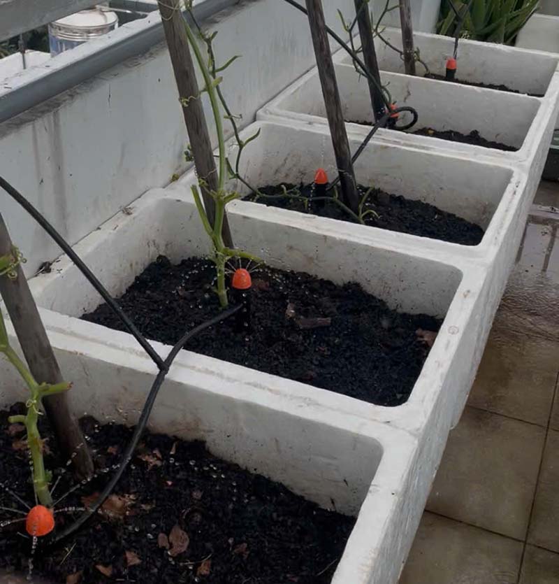 Tự lắp đặt hệ thống tưới tự động