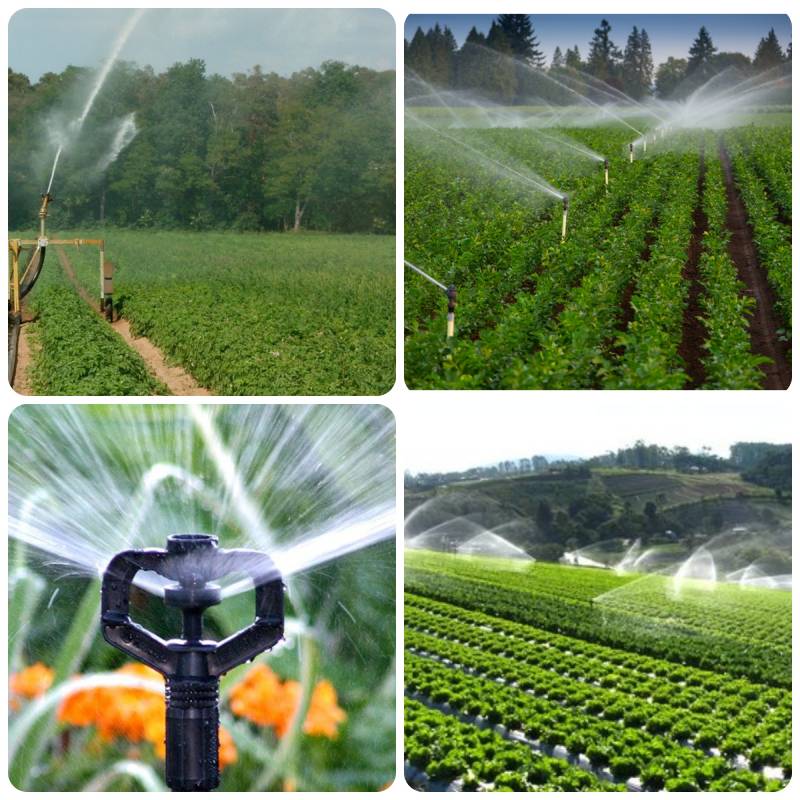 Tự lắp đặt hệ thống tưới tự động