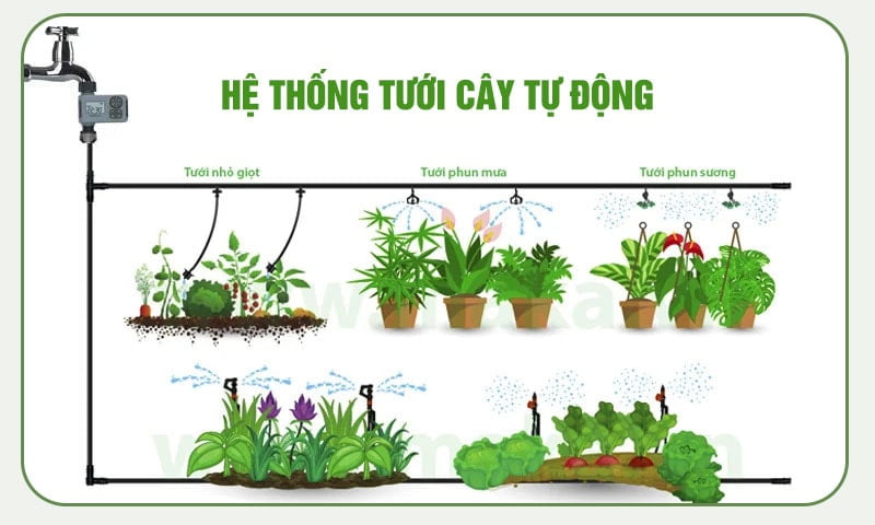 Tự lắp đặt hệ thống tưới tự động