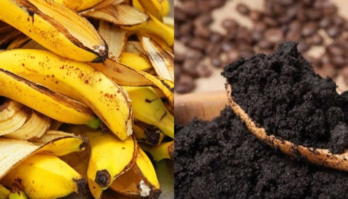 Vai trò của phân Kali với cây trồng