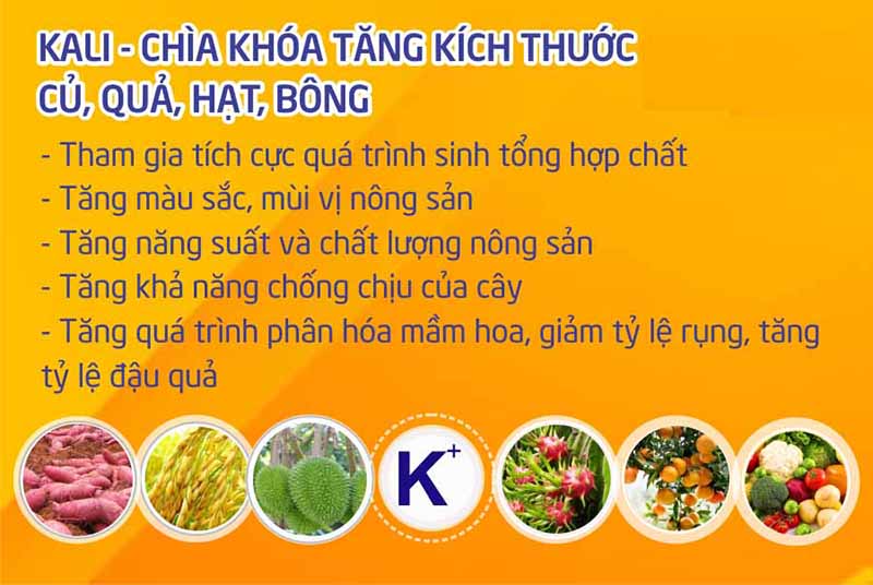 Vai trò của phân Kali với cây trồng
