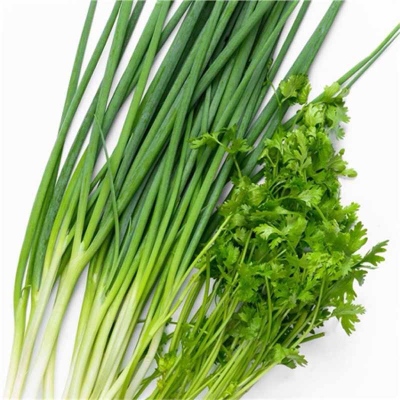 Top 10 các loại rau dễ trồng tại nhà