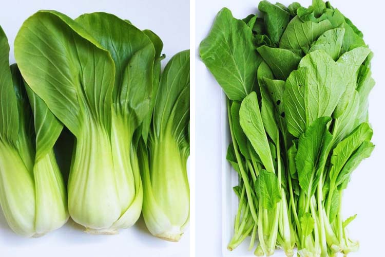 Top 10 các loại rau dễ trồng tại nhà