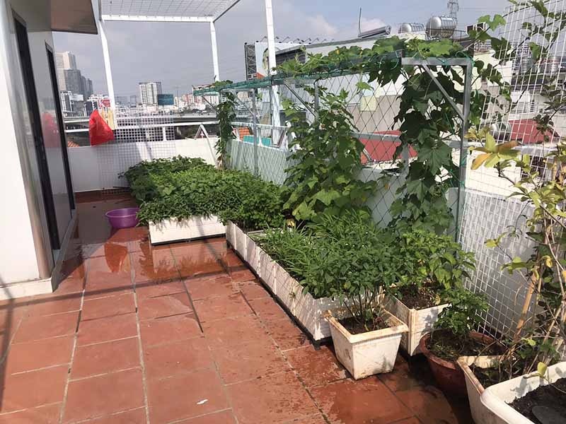 Sai lầm khi bón phân 