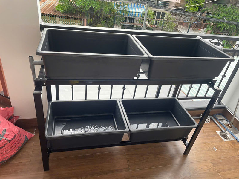 Trồng rau trên ban công