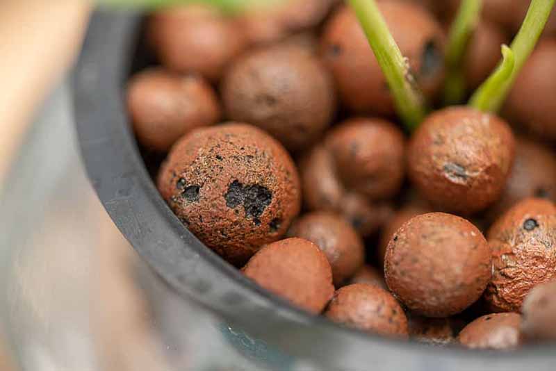 Đất sét nung - sỏi nhẹ trồng cây