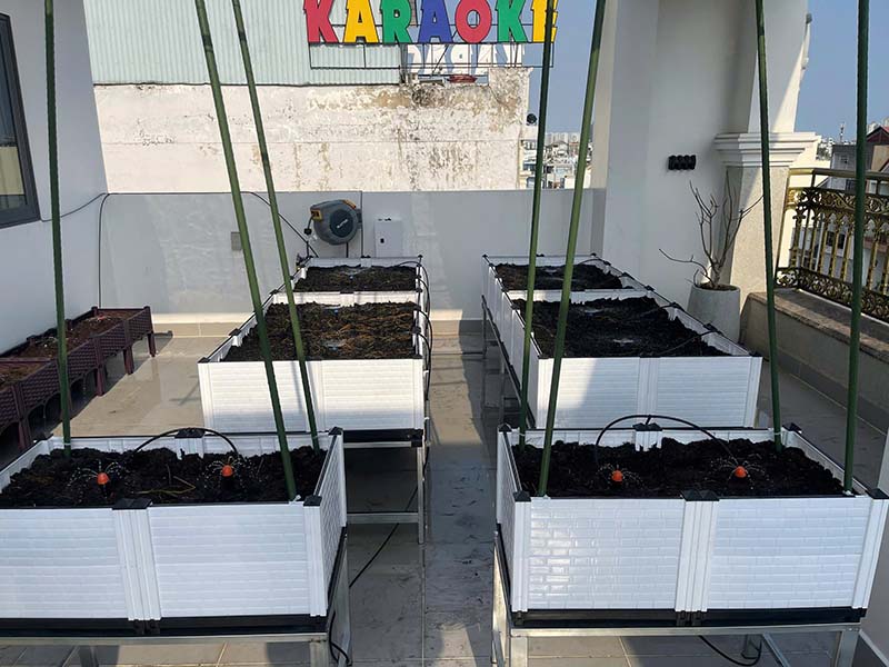 Thiết kế vườn rau sạch bằng chậu nhựa lắp ghép