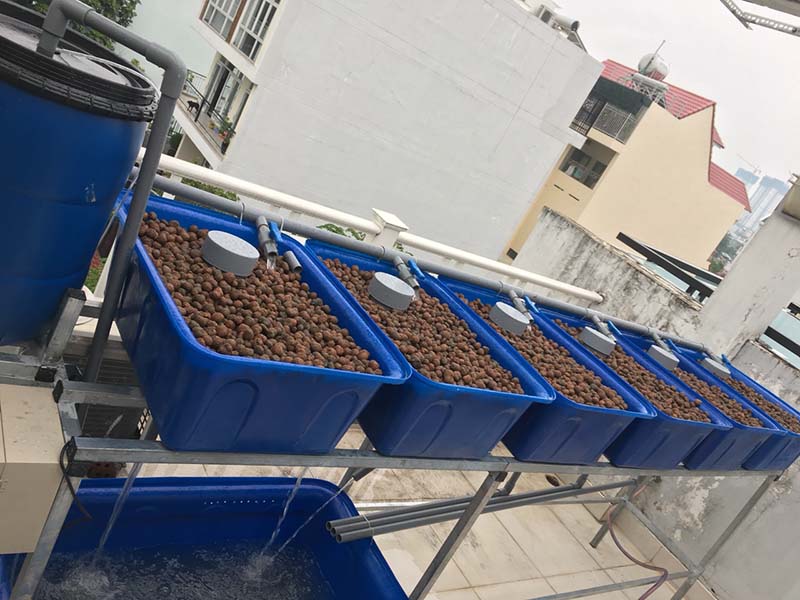 Viên đất nung làm Aquaponics