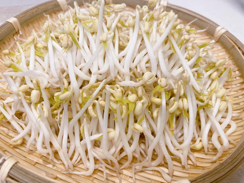 Cách trồng rau giá tại nhà 