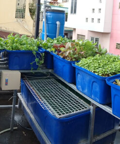 Hệ thống trồng rau nuôi cá aquaponics 8 khay