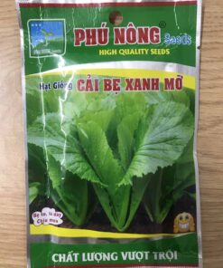 Hạt giống rau cải bẹ xanh