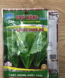 Hạt giống rau cải bẹ xanh