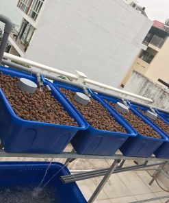 Aquaponics 4 khay rau 50 lít