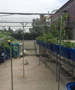 Mô hình Aquaponics 7 khay rau sân thượng