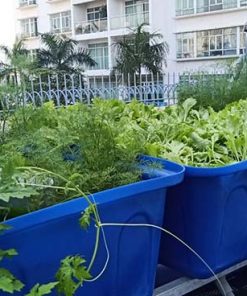 Mô hình Aquaponics 5 khay rau 50 lít