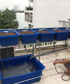 Mô hình Aquaponics 5 khay rau 50 lít