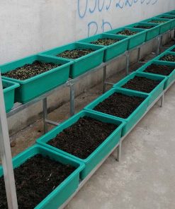 Bô kệ 2 tầng trồng rau thông minh