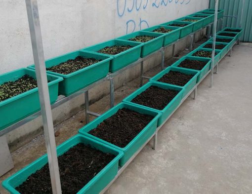 Bô kệ 2 tầng trồng rau thông minh