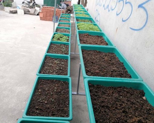 Bô kệ 2 tầng trồng rau thông minh