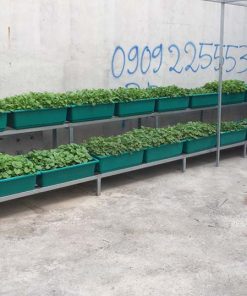 Bô kệ 2 tầng trồng rau thông minh