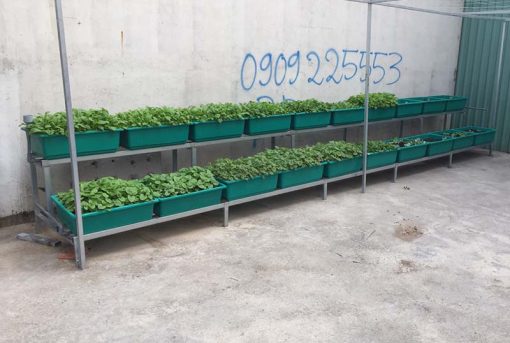 Bô kệ 2 tầng trồng rau thông minh