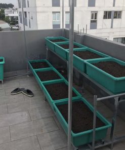 Bộ kệ trồng rau sạch 8 chậu 2 tầng
