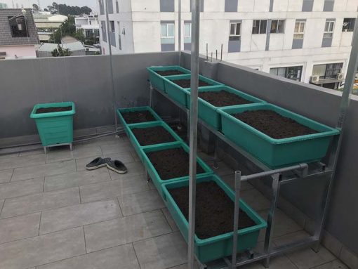Bộ kệ trồng rau sạch 8 chậu 2 tầng
