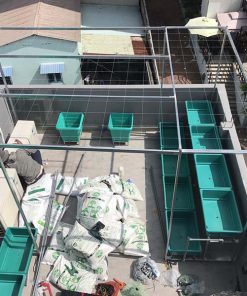 Bộ kệ trồng rau sạch 8 chậu 2 tầng