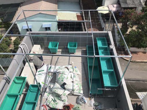 Bộ kệ trồng rau sạch 8 chậu 2 tầng