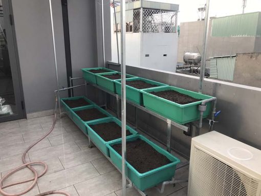Bộ kệ trồng rau sạch 8 chậu 2 tầng