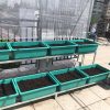 Bộ kệ trồng rau sạch 8 chậu 2 tầng