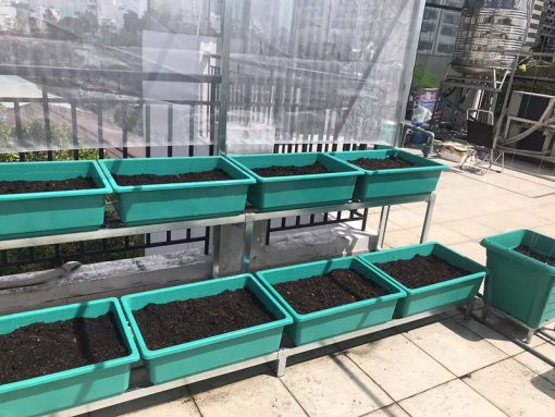 Bộ kệ trồng rau sạch 8 chậu 2 tầng