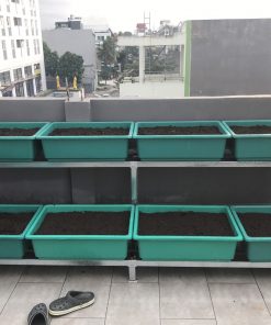 Bộ kệ trồng rau sạch 8 chậu 2 tầng