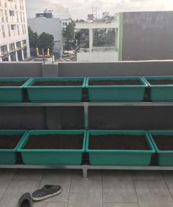 Bộ kệ trồng rau sạch 8 chậu 2 tầng